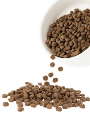 Harlow Blend Turkey Fusion Dogs Dry Food