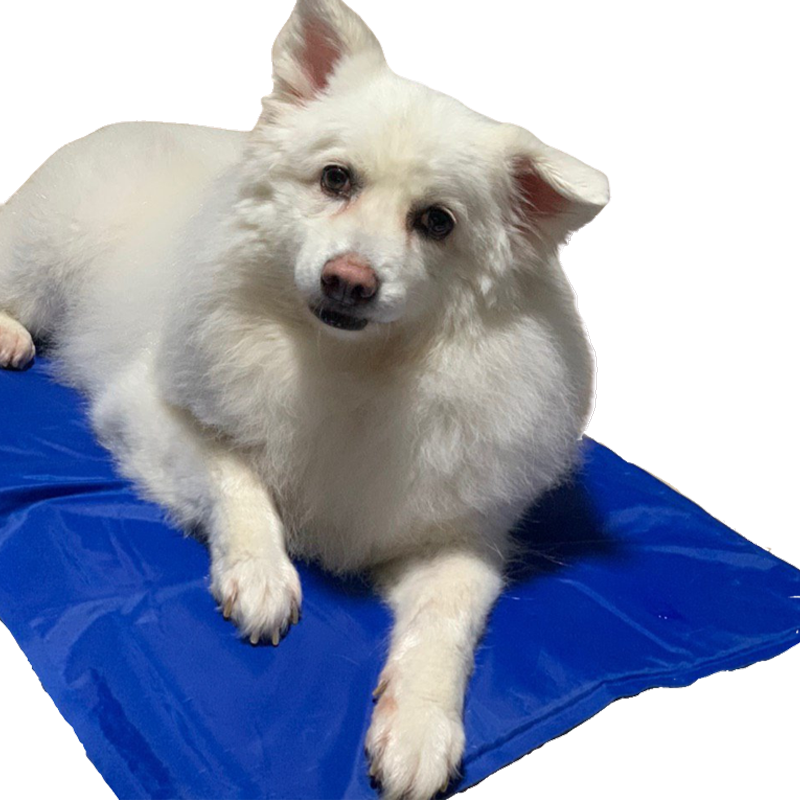 Cooling Mat