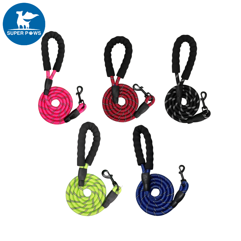 Non retractable leash best sale
