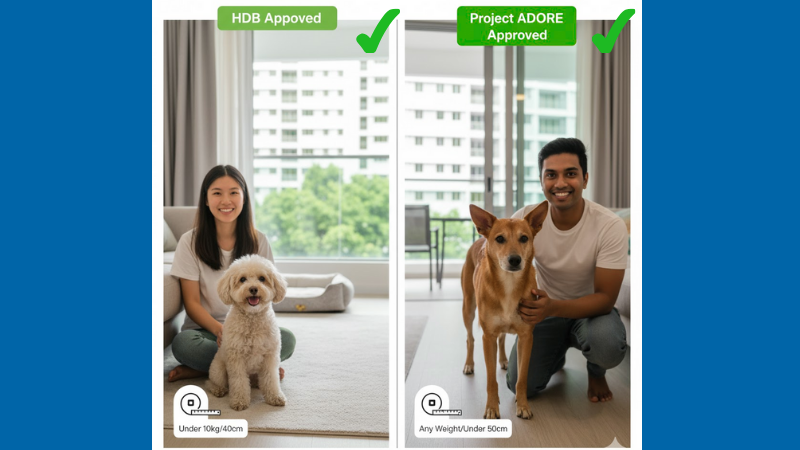 HDB-Approved Dogs: Understanding Breed Regulations and Project ADORE in Singapore