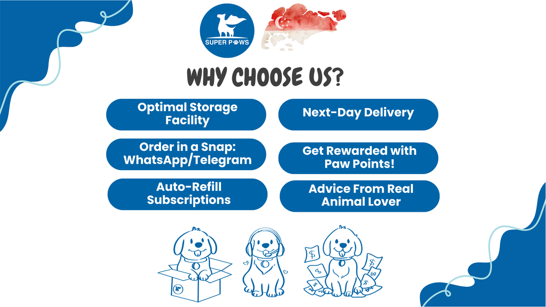 Why Choose Super Paws: Your Trusted Partner for Pet Essentials in Singapore 🇸🇬