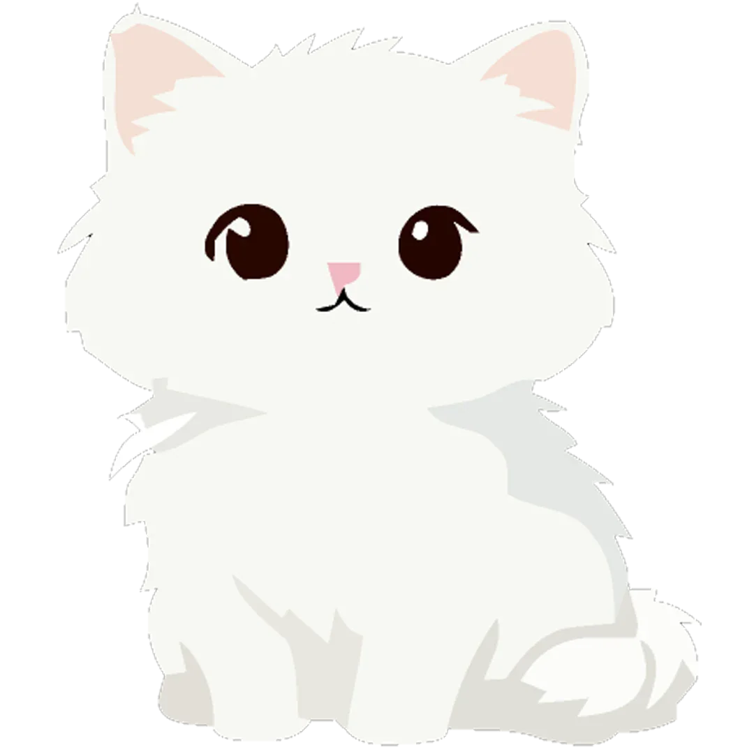 Kitten Food & Essentials for Growing Cats