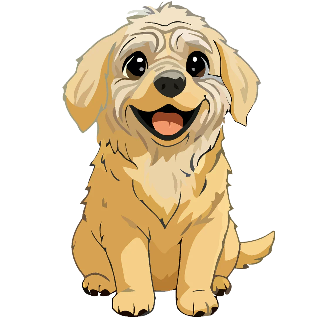 Senior Pet Food & Care Essentials