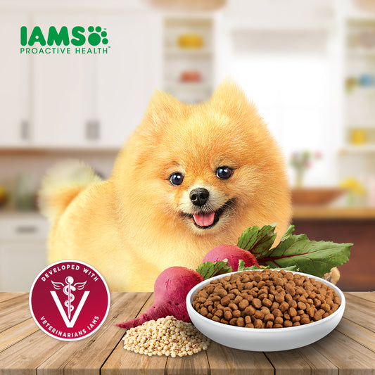 IAMS Proactive Health Premium Dog Food for Small Breed Adult Dogs