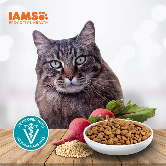 IAMS Proactive Health Premium Cat Food Indoor Weight And Hairball Care
