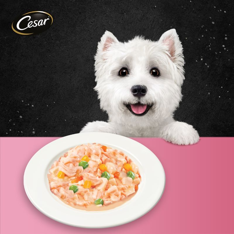 Cesar Chicken Meat with Carrot and Pumpkin in Jelly 70g