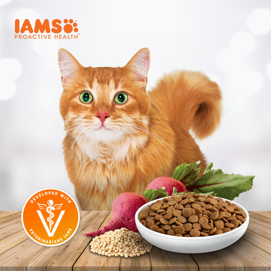 IAMS Proactive Health Premium Cat Food Dry Food in Tuna And Salmon