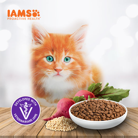 FREE IAMS Proactive Health Premium Mother And Kitten Cat Food 1kg