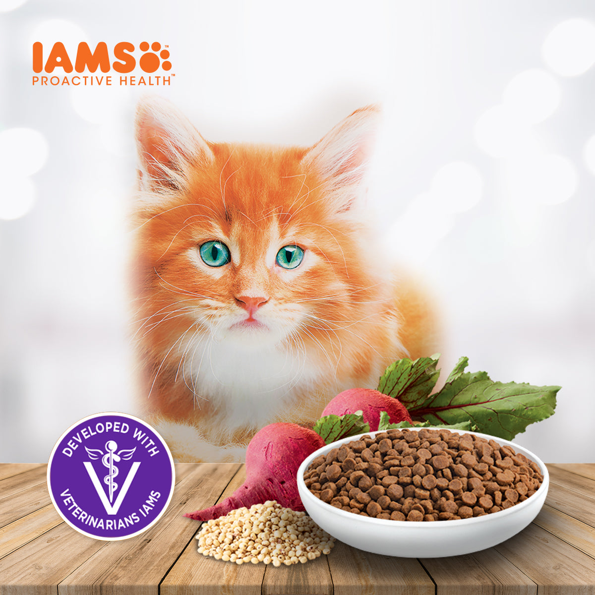 [Try] IAMS Proactive Health Premium Mother And Kitten Cat Food