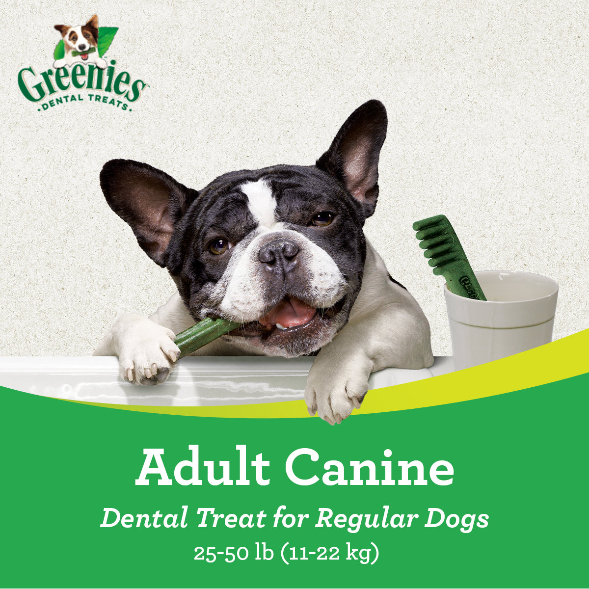 Free GREENIES Dental Care Regular 170g