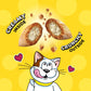 Temptations Cat Savoury Salmon Flavour 160g