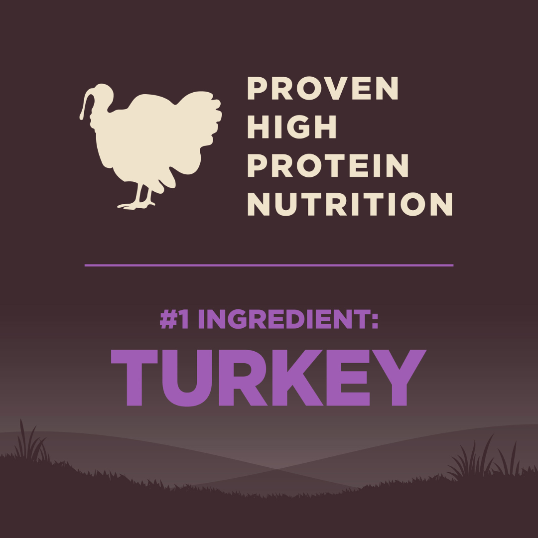 Wellness Core Grain Free Senior Age Advantage