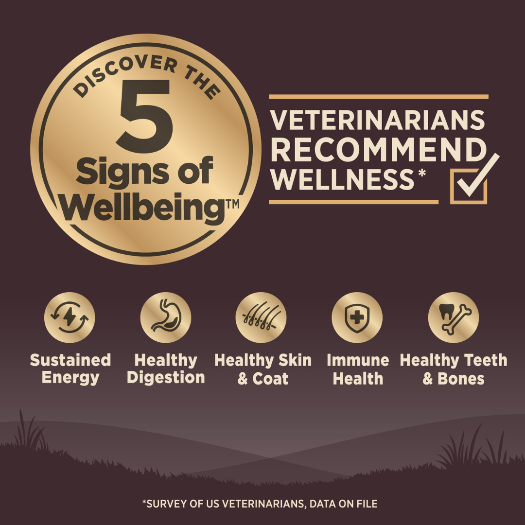 Wellness Core Grain Free Senior Age Advantage