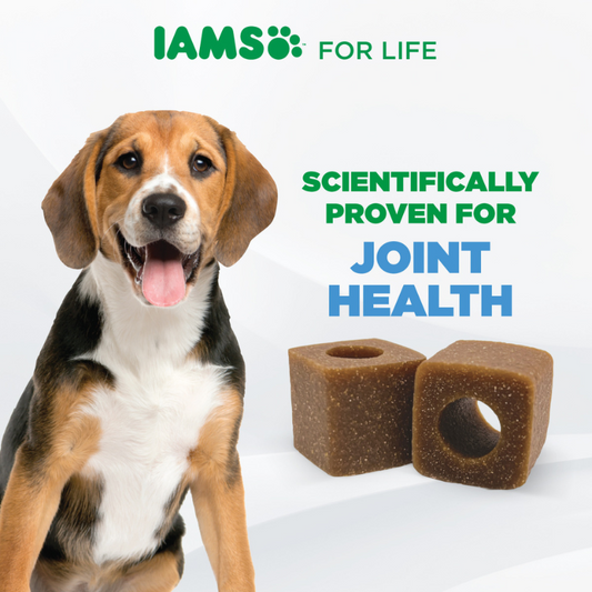 IAMS Dog Supplements for Joint Health 168g