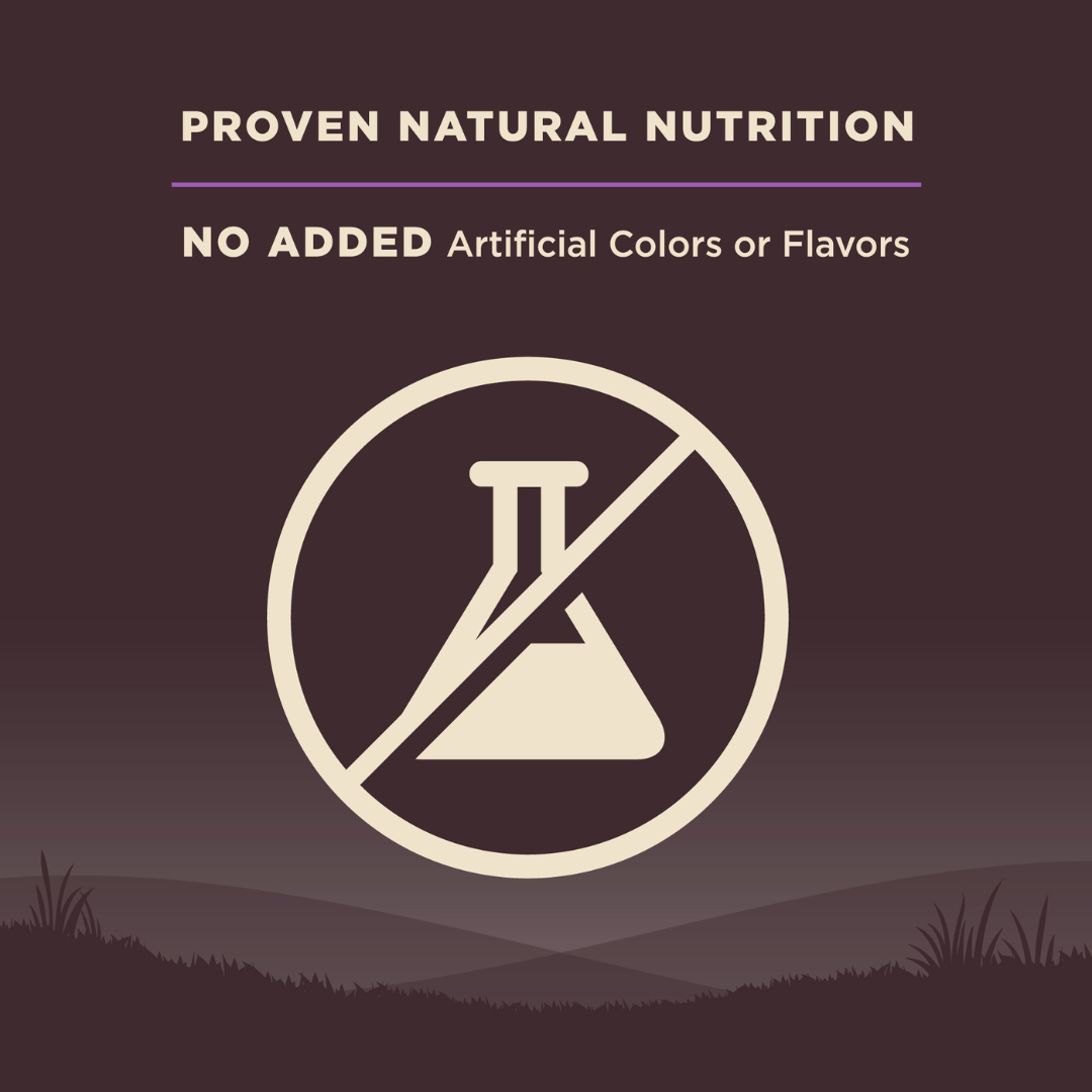 Wellness Core Grain Free Senior Age Advantage