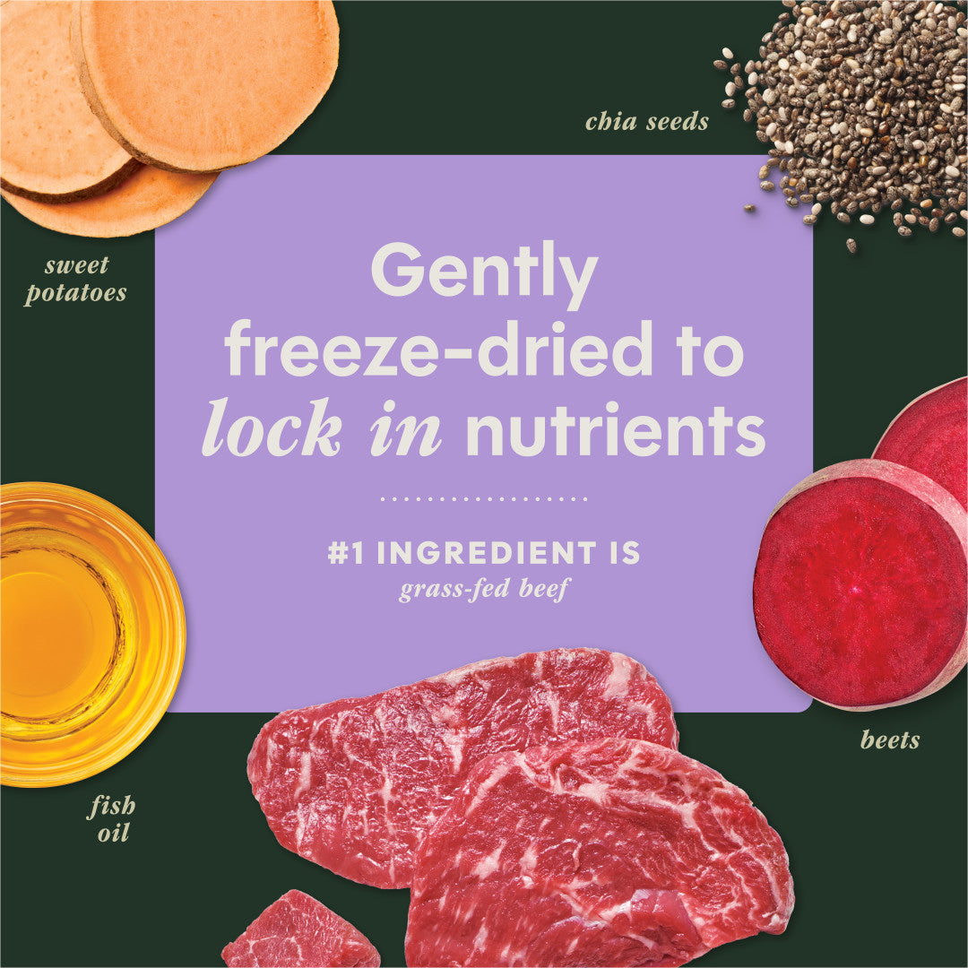 Instinct Freeze-dried Raw Boost Mixers Grain-free Multivitamin For Adult Dogs Food Topper