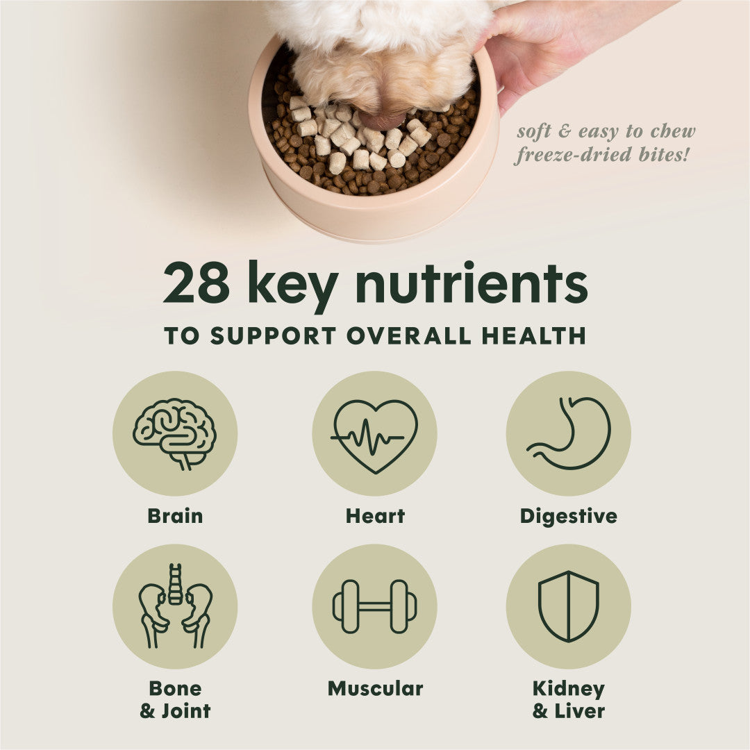 Instinct Freeze-dried Raw Boost Mixers Grain-free Multivitamin For Adult Dogs Food Topper