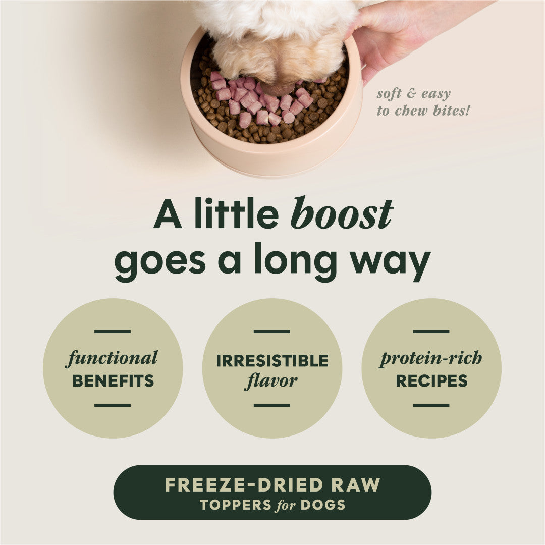 Instinct Freeze-dried Raw Boost Mixers Grain-free Skin & Coat Health Recipe Dog Food Topper