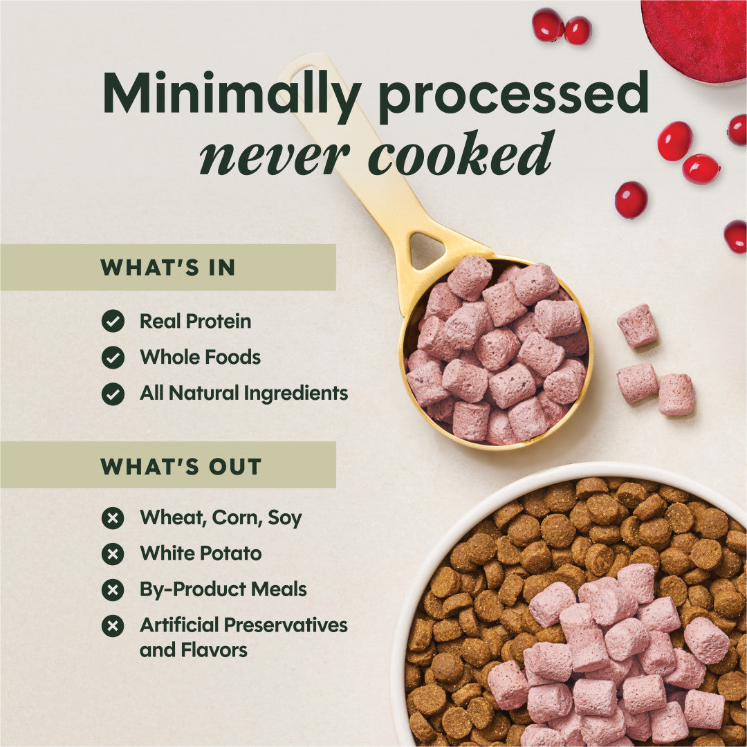 Instinct Freeze-dried Raw Boost Mixers Grain-free Skin & Coat Health Recipe Dog Food Topper