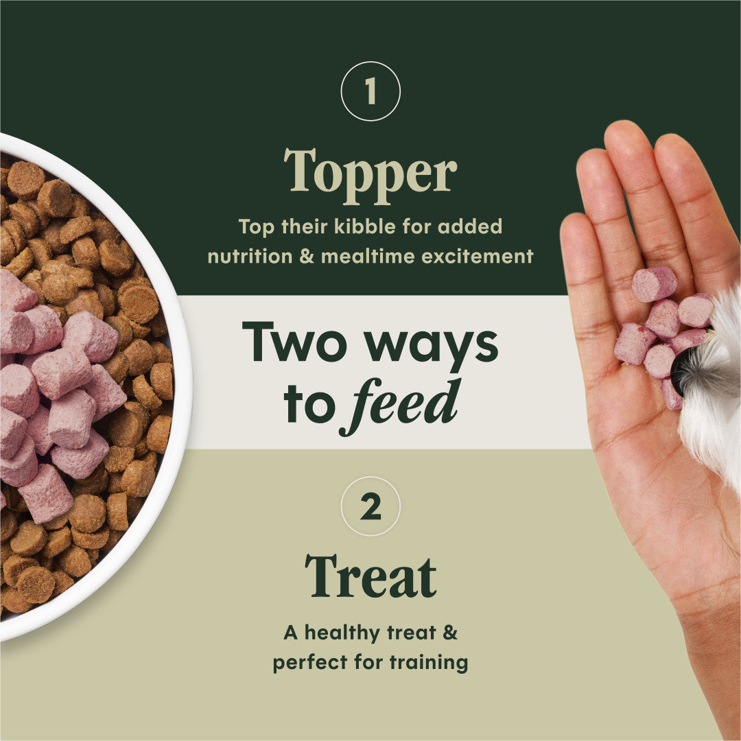 Instinct Freeze-dried Raw Boost Mixers Grain-free Skin & Coat Health Recipe Dog Food Topper