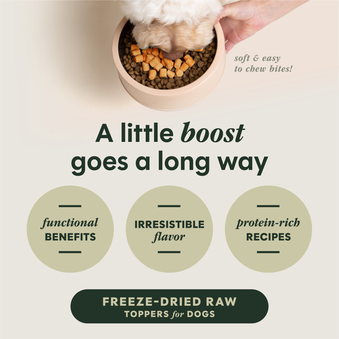 Instinct Freeze-dried Raw Boost Mixers Grain-free Gut Health Recipe Dog Food Topper