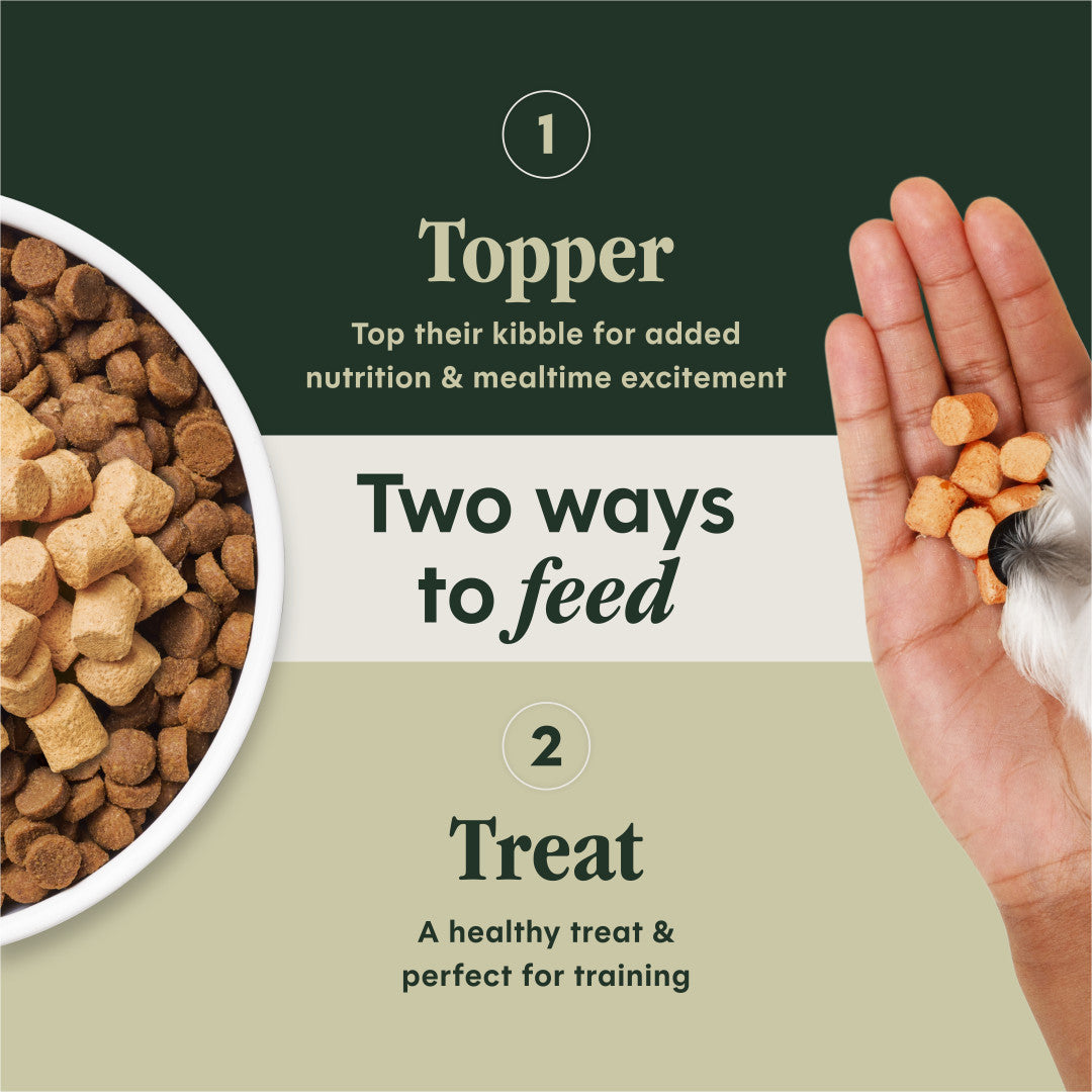 Instinct Freeze-dried Raw Boost Mixers Grain-free Gut Health Recipe Dog Food Topper