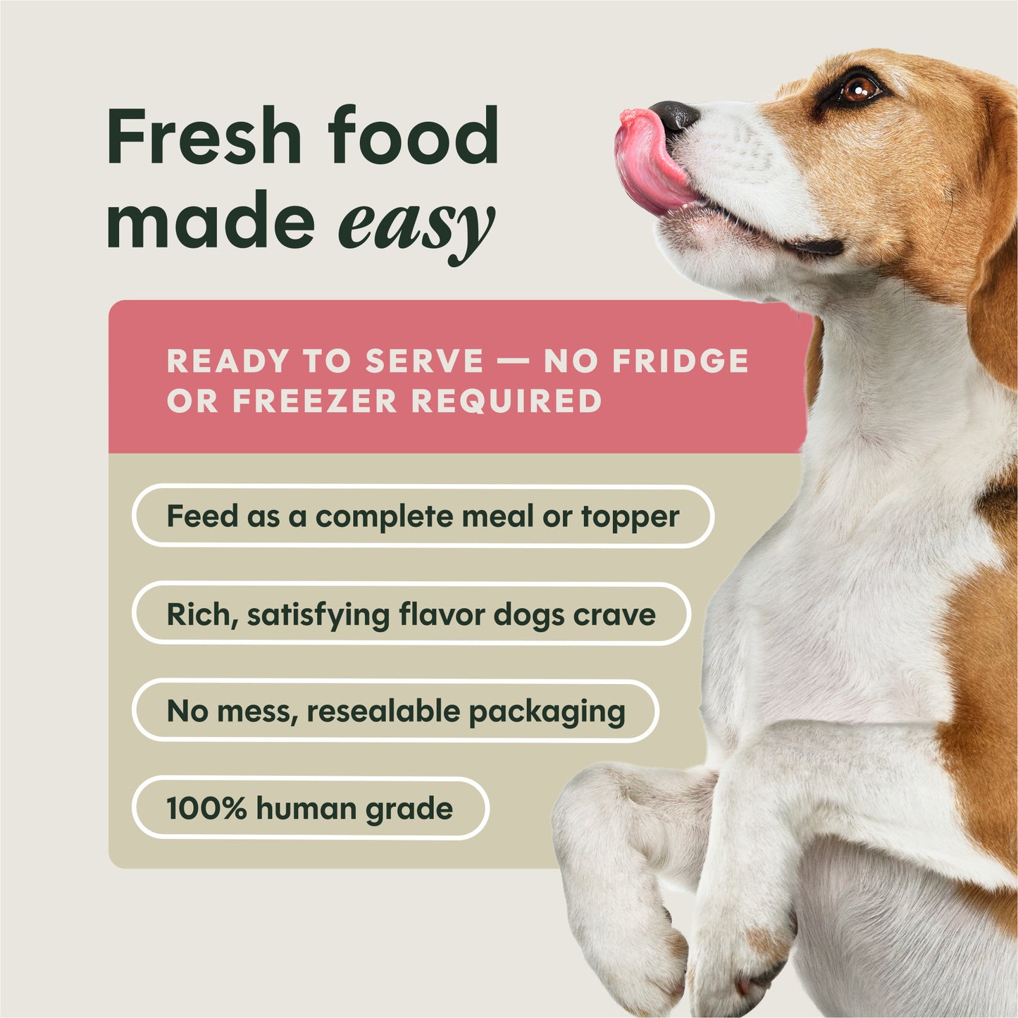 Instinct Freshly Crafted Meals Pork & Wild-caught Salmon Recipe For Adult Dogs
