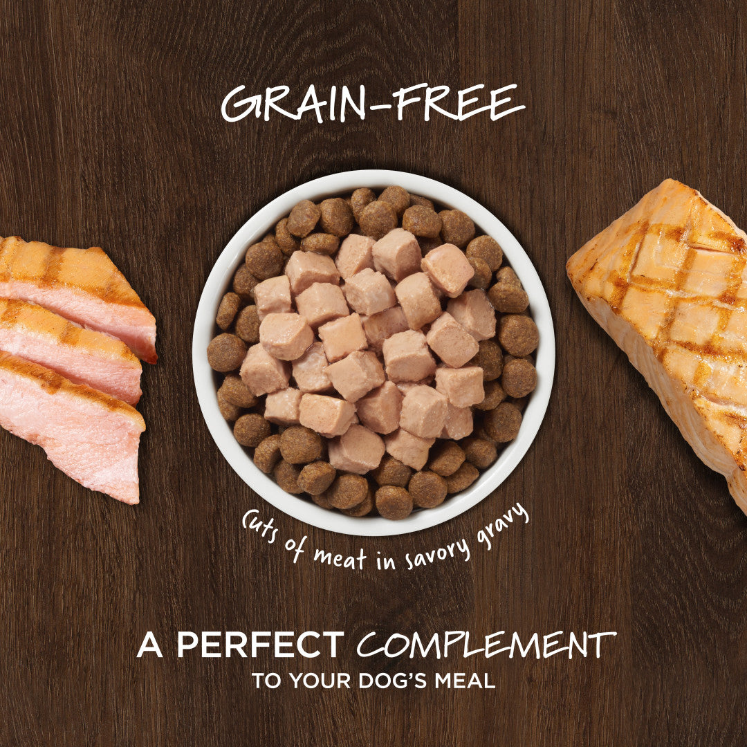 Instinct Healthy Cravings Grain-free Real Salmon Recipe Wet Dog Food Topper