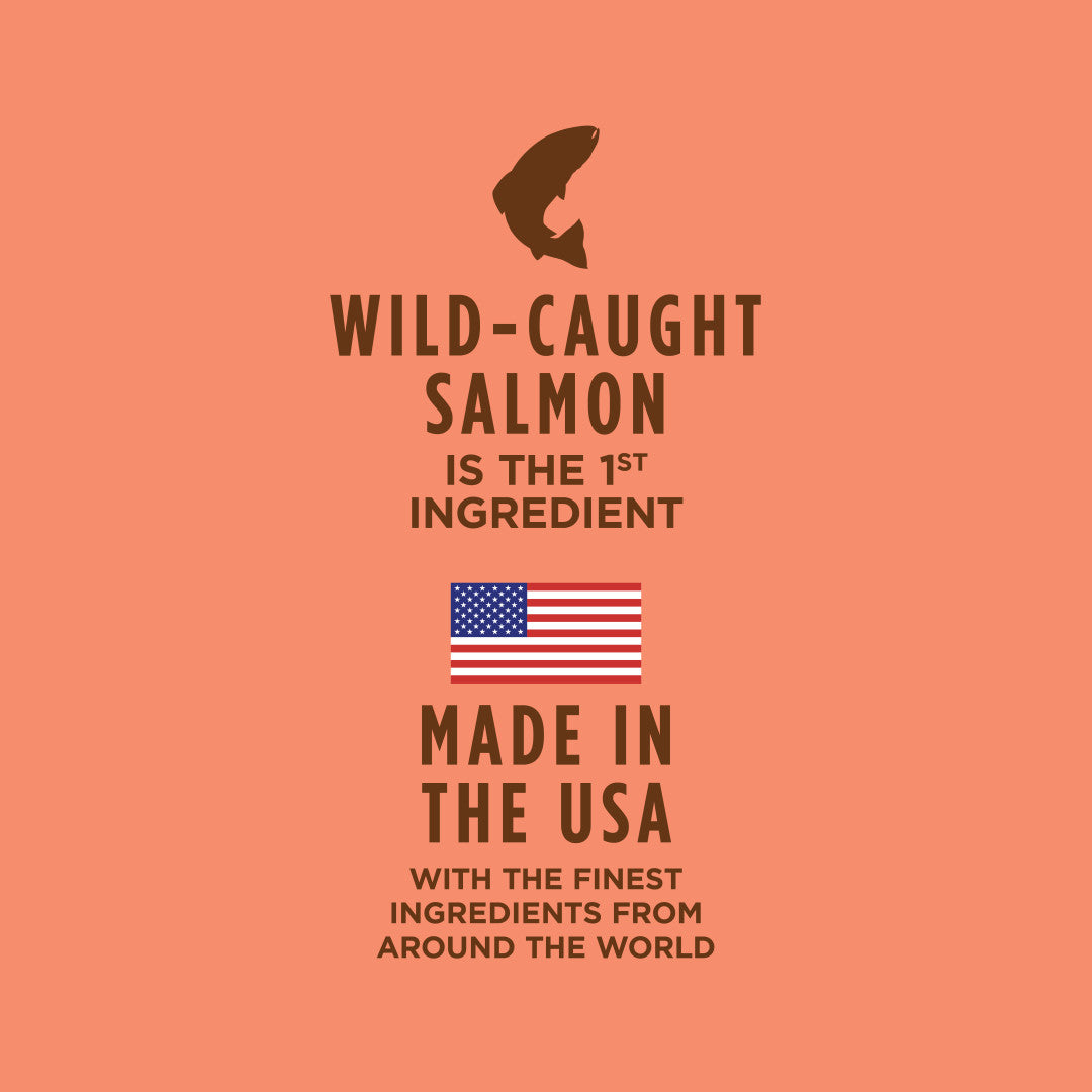 Instinct Healthy Cravings Grain-free Real Salmon Recipe Wet Dog Food Topper