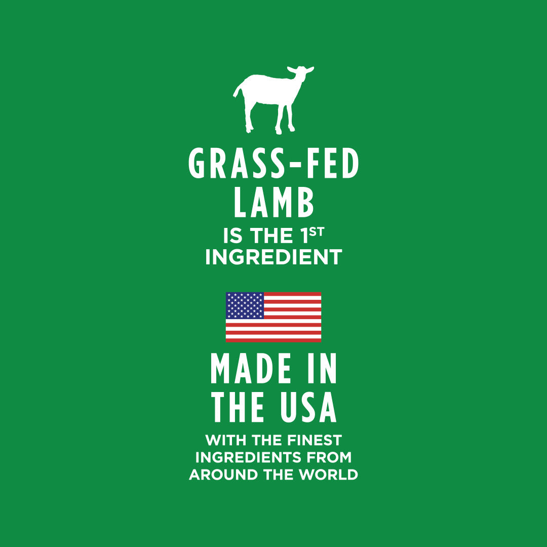 Instinct Healthy Cravings Grain-free Real Lamb Recipe Wet Dog Food Topper