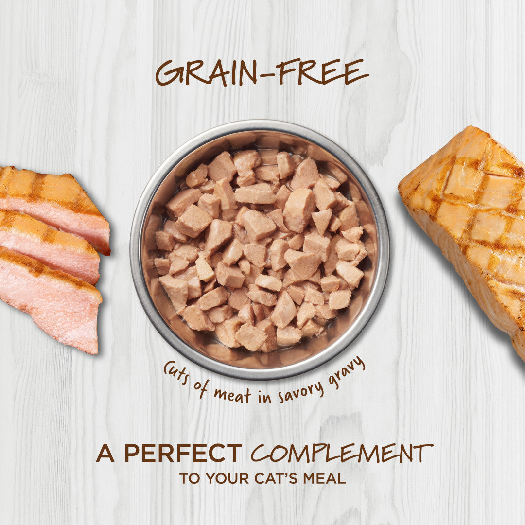 Instinct Healthy Cravings Grain-free Real Salmon Recipe In Savory Gravy Wet Cat Food Topper