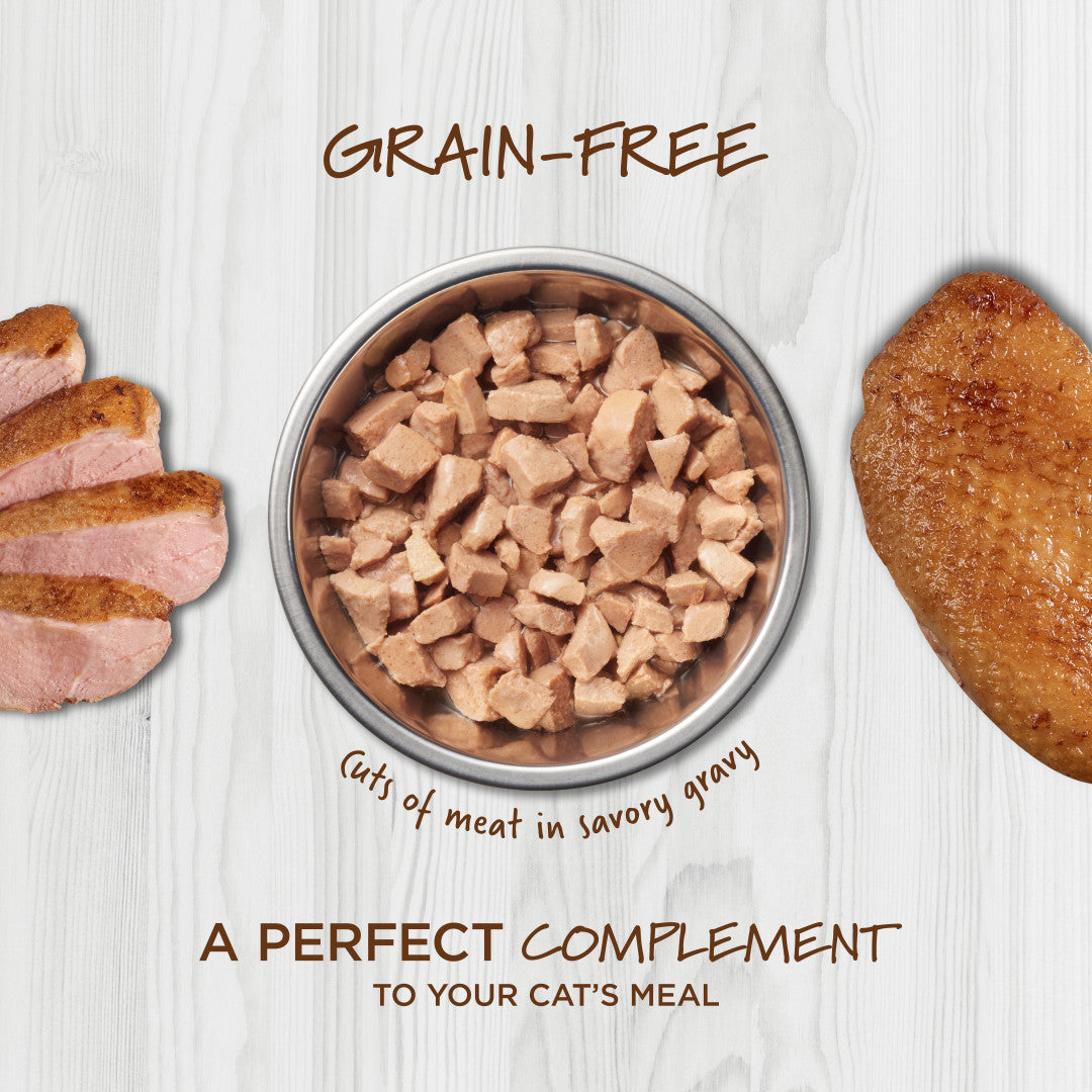 Instinct Healthy Cravings Grain-free Real Duck Recipe In Savory Gravy Wet Cat Food Topper