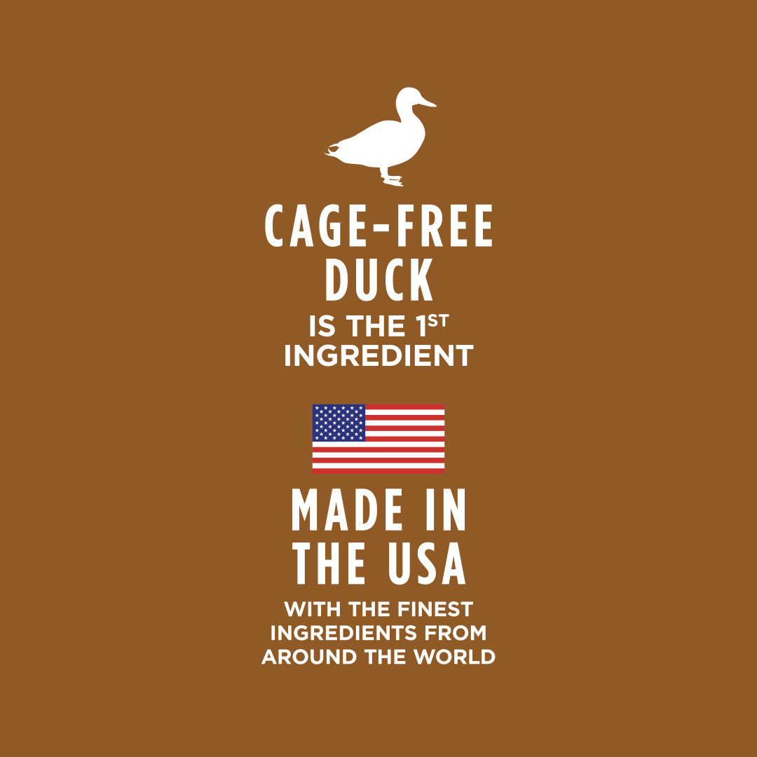 Instinct Healthy Cravings Grain-free Real Duck Recipe In Savory Gravy Wet Cat Food Topper