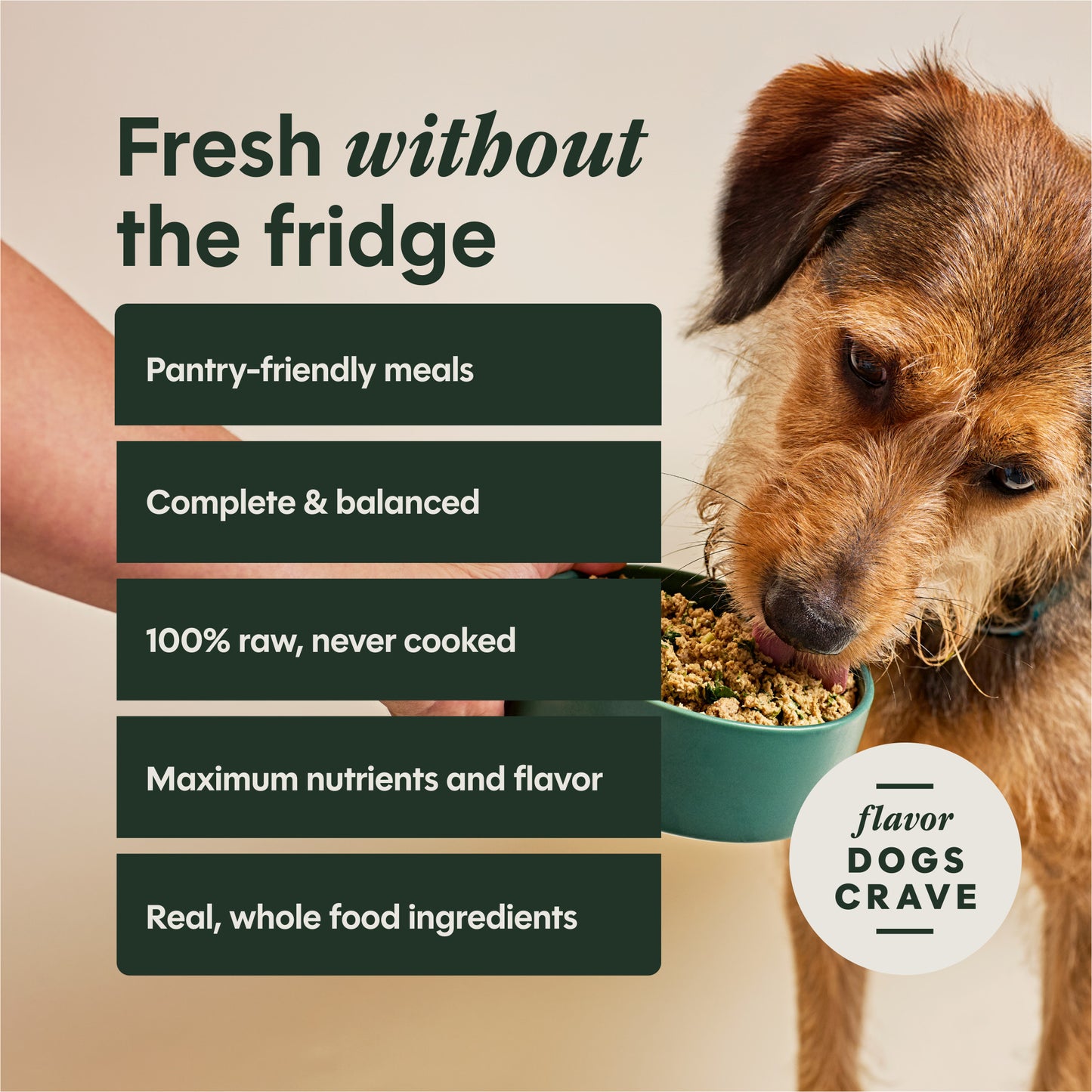 Instinct Freshdried Meal Blends Chicken & Supergreens Blend Dog Food