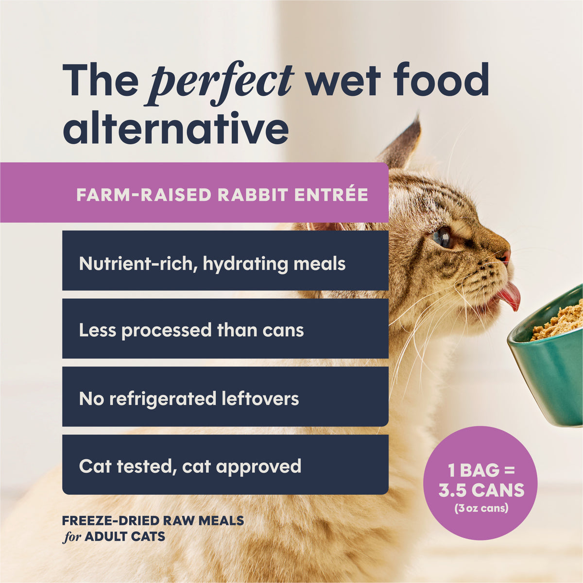 Instinct Freshdried Pates Rabbit Entrée Cat Food
