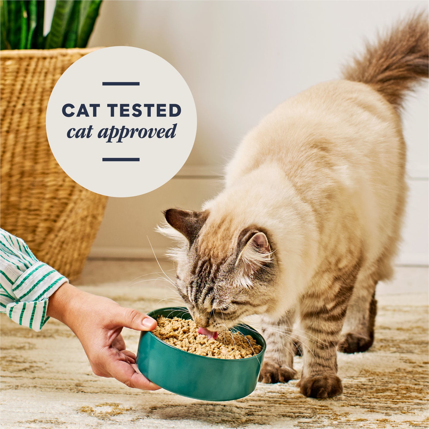 Instinct Freshdried Pates Surf & Turf Entrée Cat Food