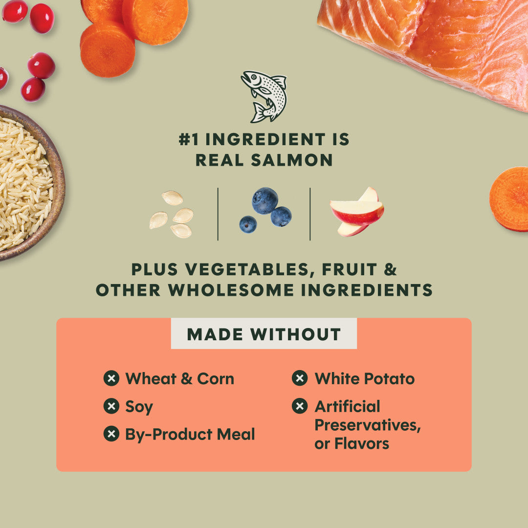 Instinct Raw Boost Whole Grain Real Salmon & Brown Rice Recipe Dry Dog Food