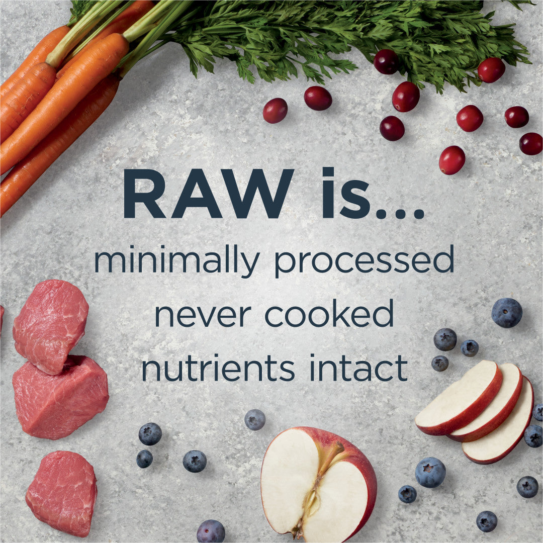 Instinct Raw Boost Whole Grain Real Lamb & Oatmeal Recipe Dry Dog Food