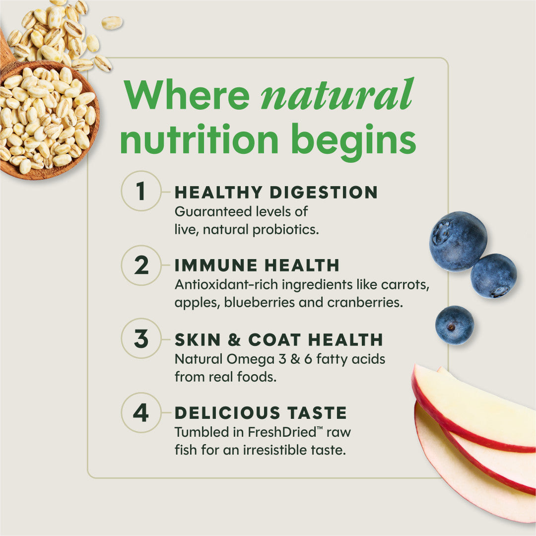 Instinct Be Natural Real Chicken & Brown Rice Recipe Dry Dog Food