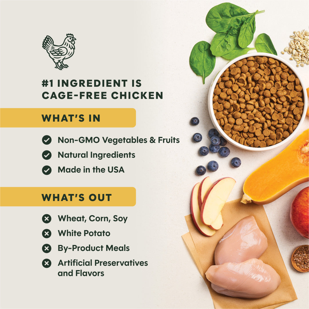 Instinct Be Natural Real Chicken & Brown Rice Recipe Dry Dog Food