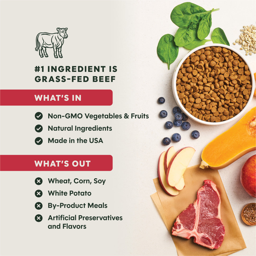 Instinct Be Natural Real Beef & Barley Recipe Dry Dog Food