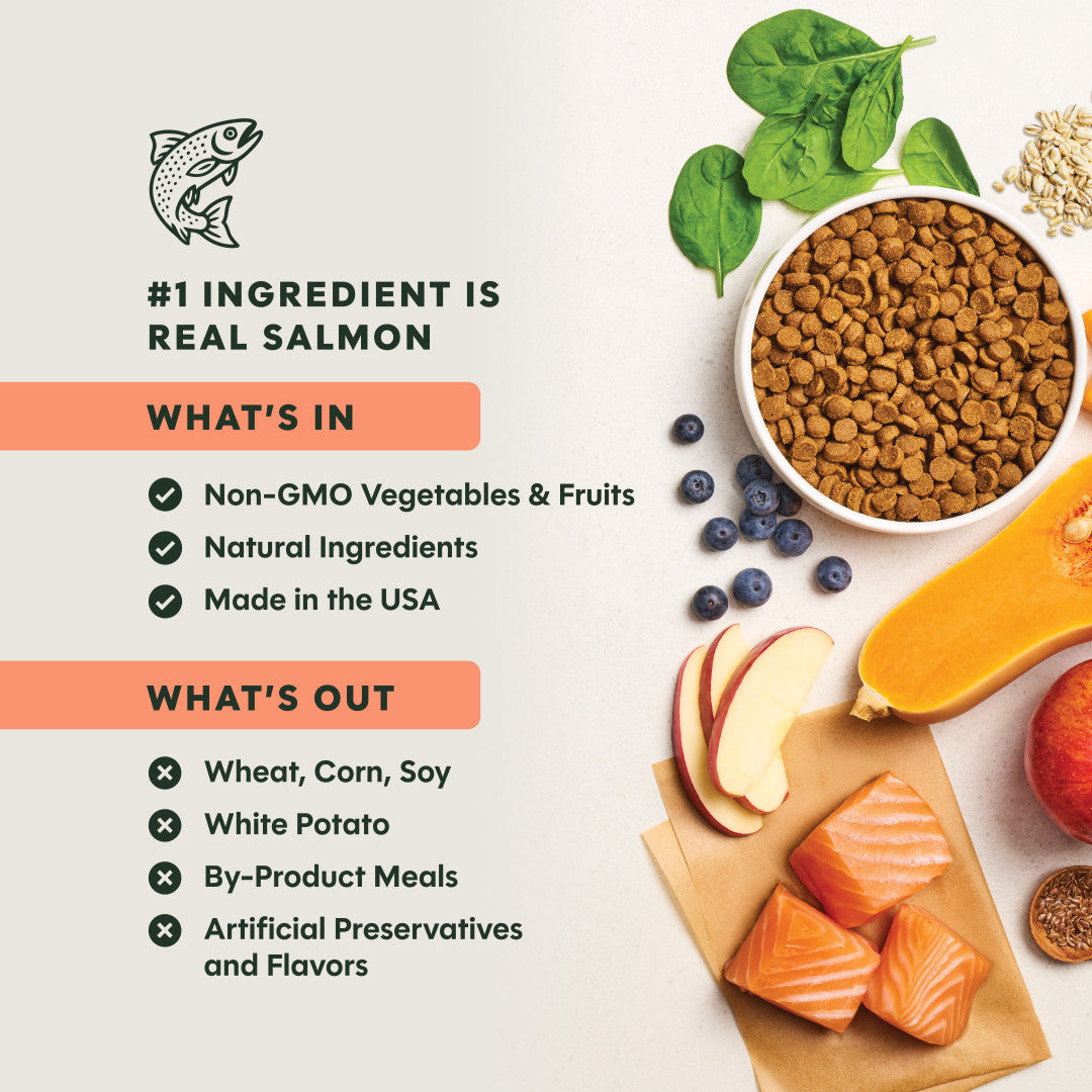 Instinct Be Natural Real Salmon & Brown Rice Recipe Dry Dog Food