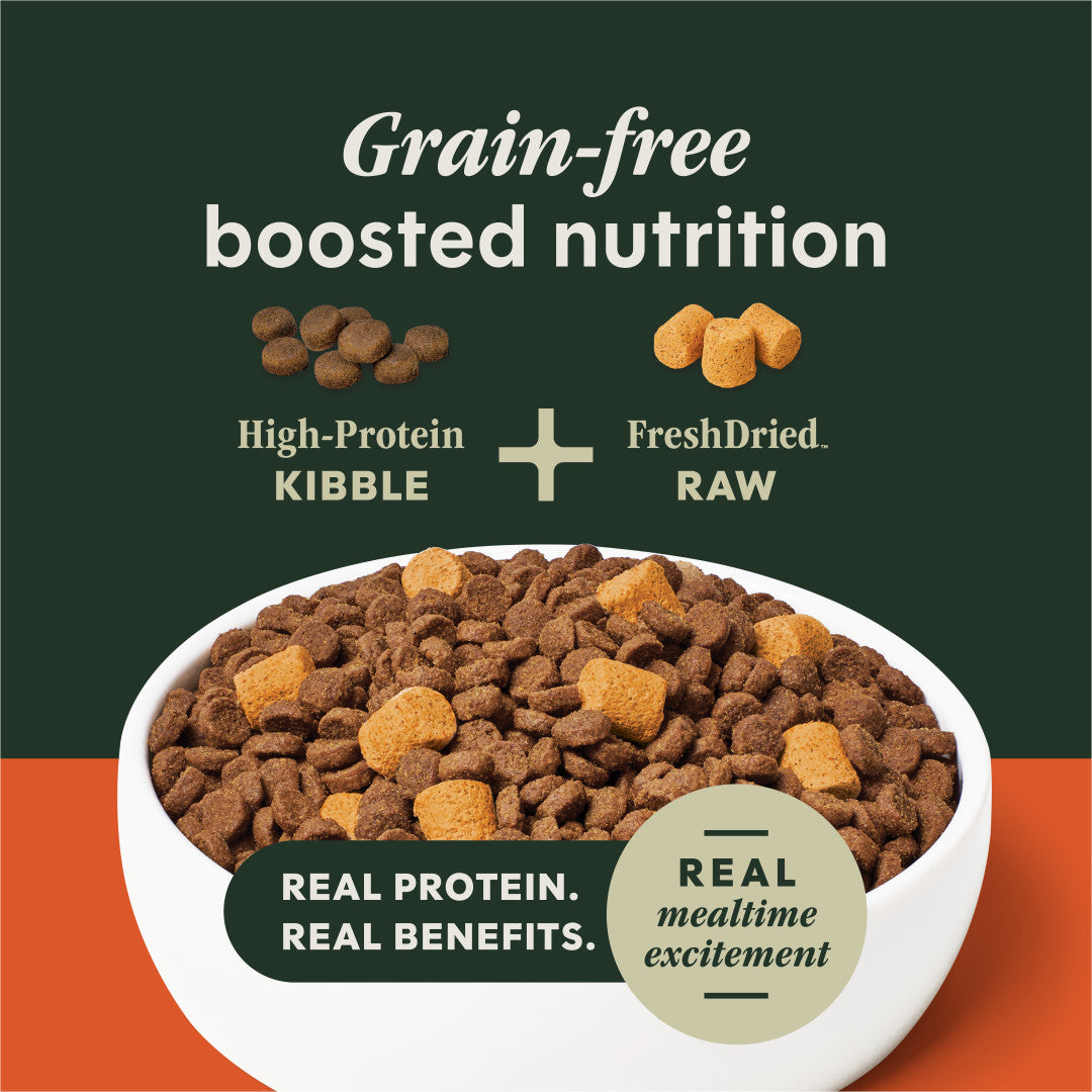 Instinct Raw Boost Gut Health Grain-free Recipe With Real Chicken Dry Dog Food