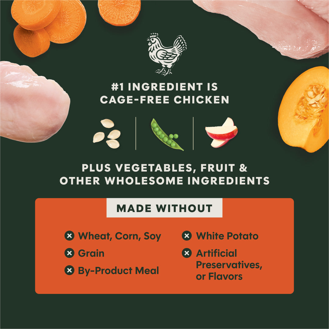 Instinct Raw Boost Gut Health Grain-free Recipe With Real Chicken Dry Dog Food