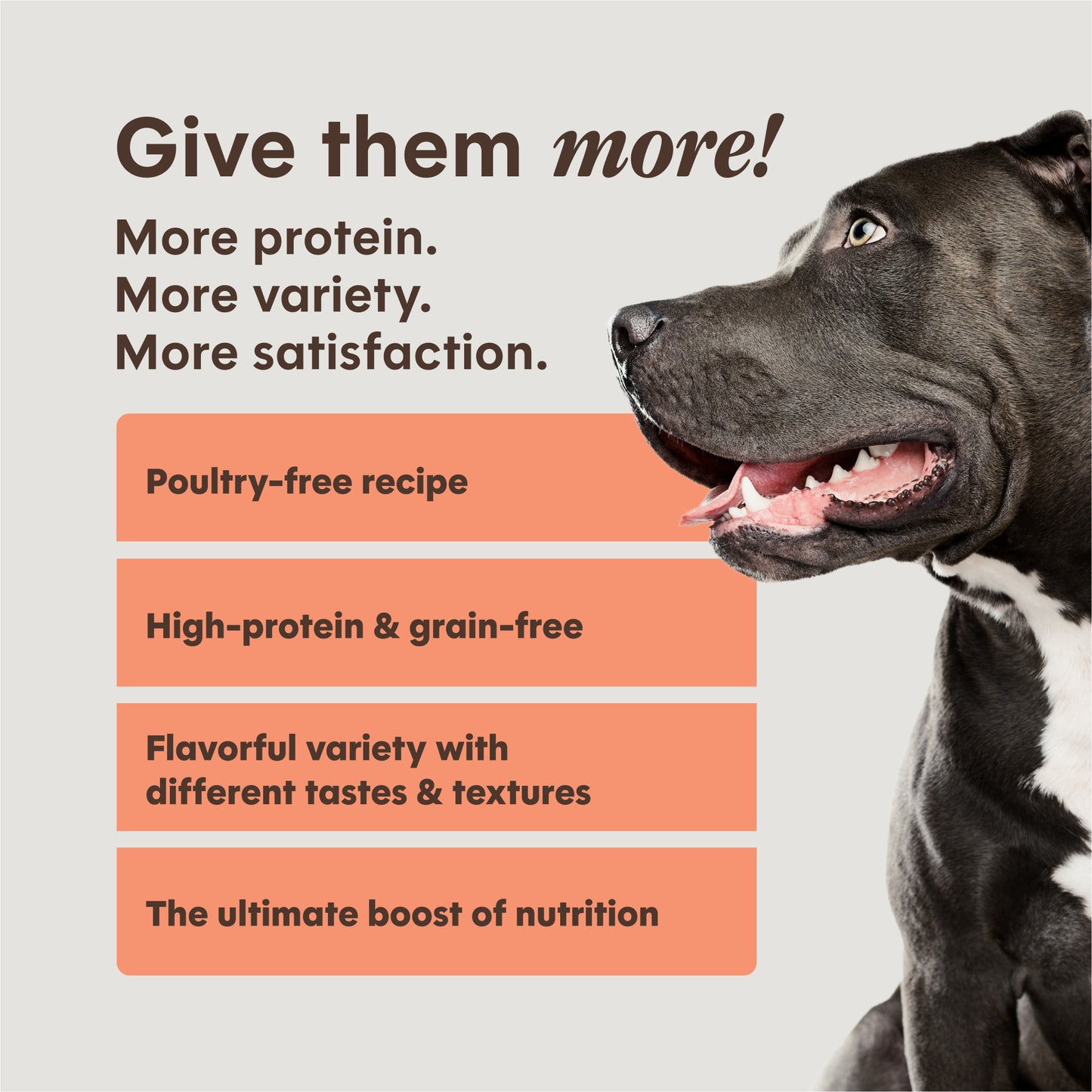 Instinct Peakboost™ High-protein Recipe With Real Salmon Dry Dog Food