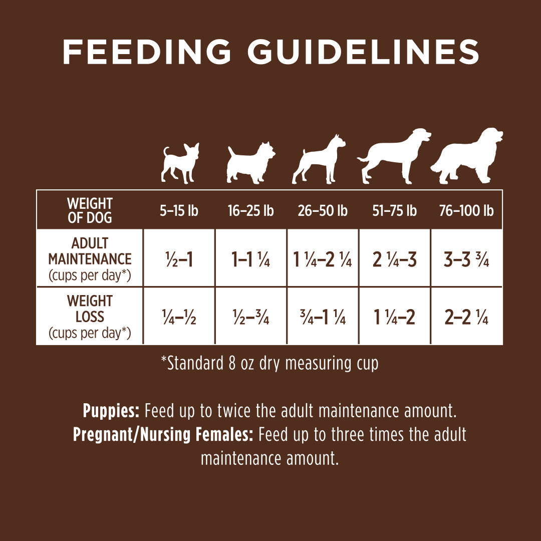 Instinct Original Grain-free Recipe With Real Salmon Dry Dog Food