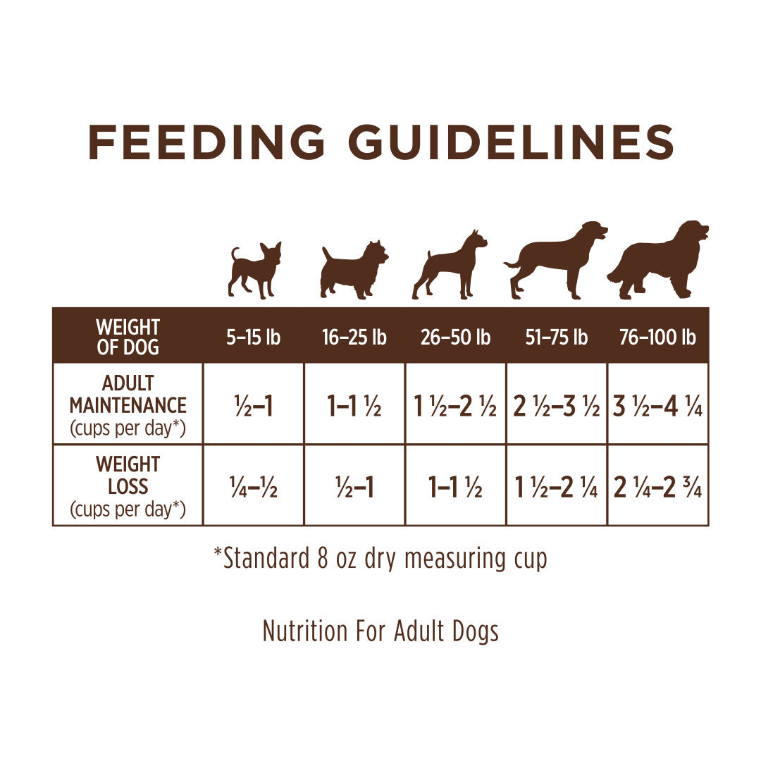 Instinct Limited Ingredient Diet Grain-free Recipe With Real Lamb Dry Dog Food