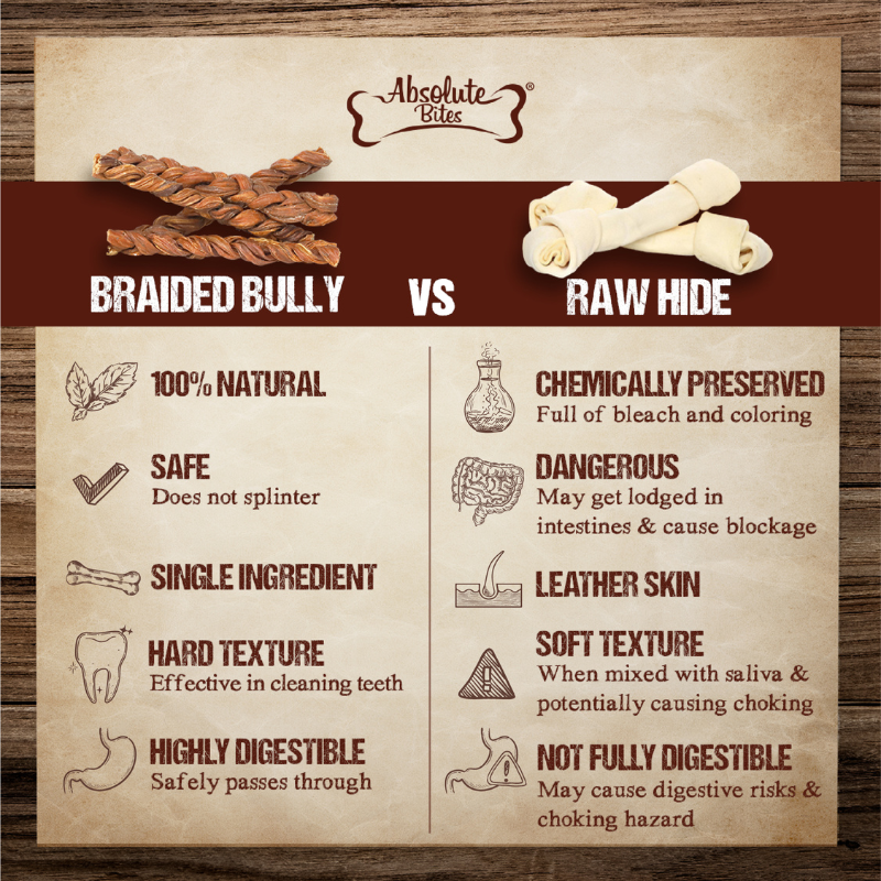 Absolute Bites Single Ingredient Dog Chew - Braided Bully Stick [3 Sizes]