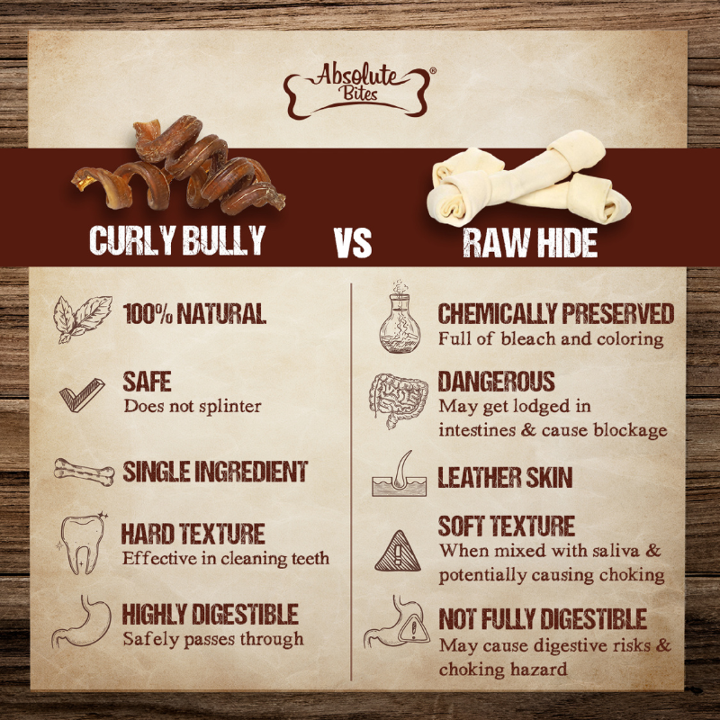 Absolute Bites Single Ingredient Dog Chew - Curly Bully Stick [2 Sizes]