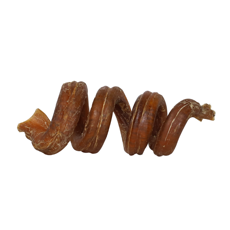 Absolute Bites Single Ingredient Dog Chew - Curly Bully Stick [2 Sizes]